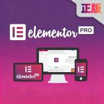 Elementor Pro正版授权